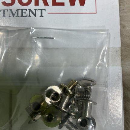 Chicago Screws 6 in bag