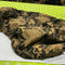 English Saddle Covers / Carriers