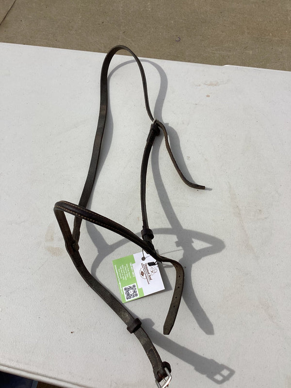 Halters Show