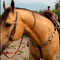 Brand New Tack