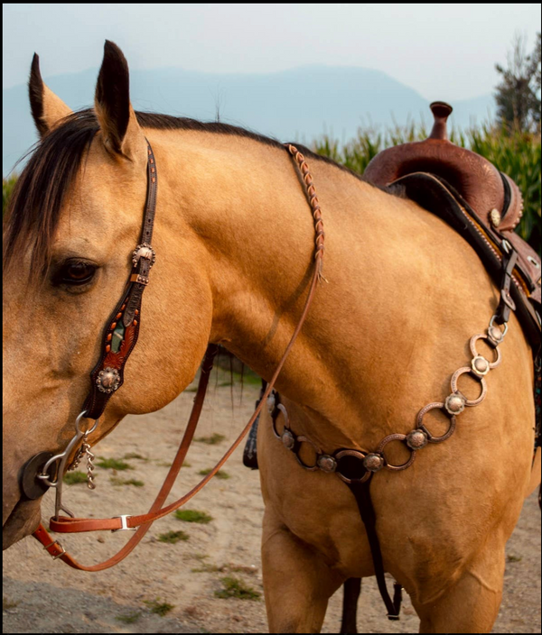 Brand New Tack