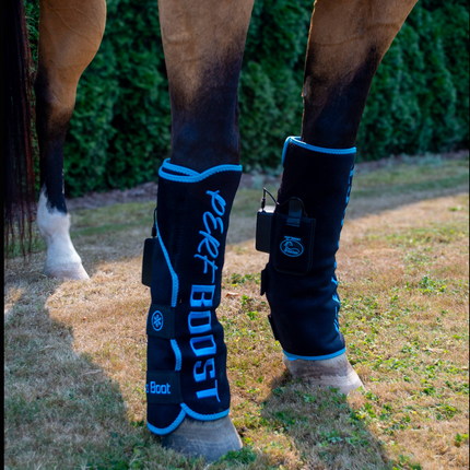 Collection image for: Schultz Equine