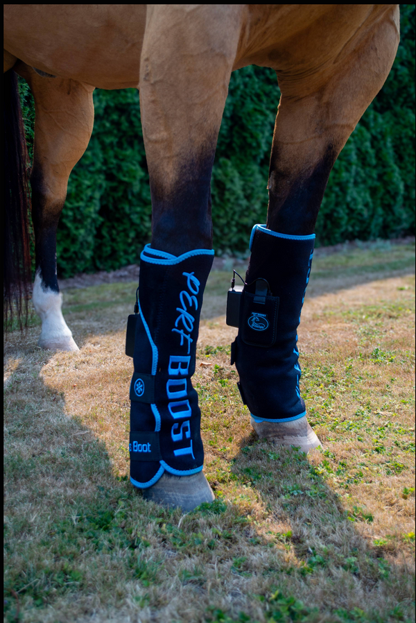 Schultz Equine