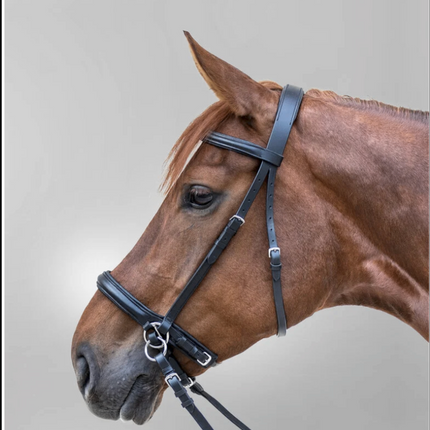 Collection image for: English Headstalls/Bridles