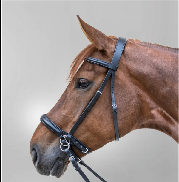 English Headstalls/Bridles