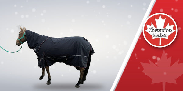 Champion Horse Blankets