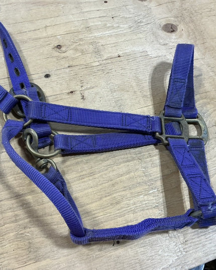 Halter nylon Purple