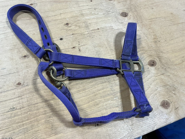 Halter nylon Purple