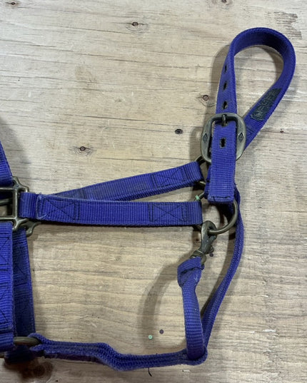 Halter nylon Purple