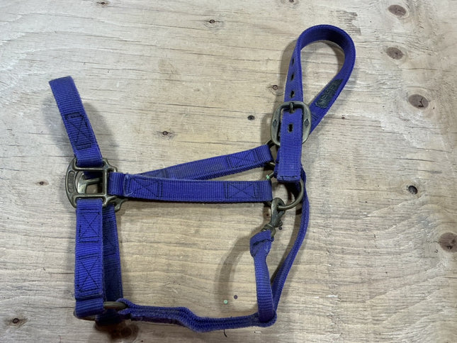 Halter nylon Purple
