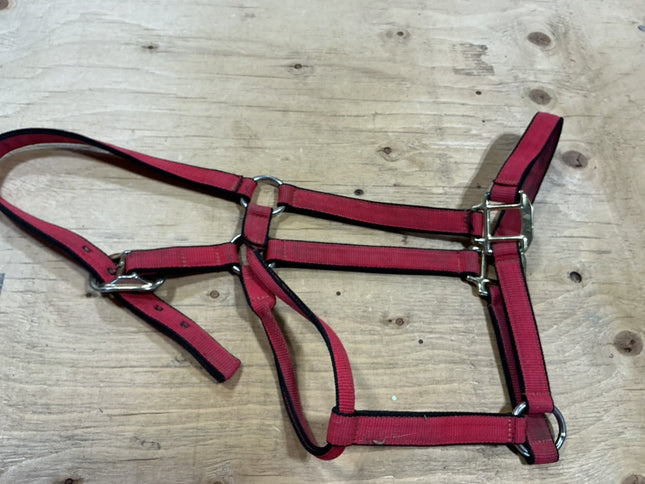 Halter Nylon Red