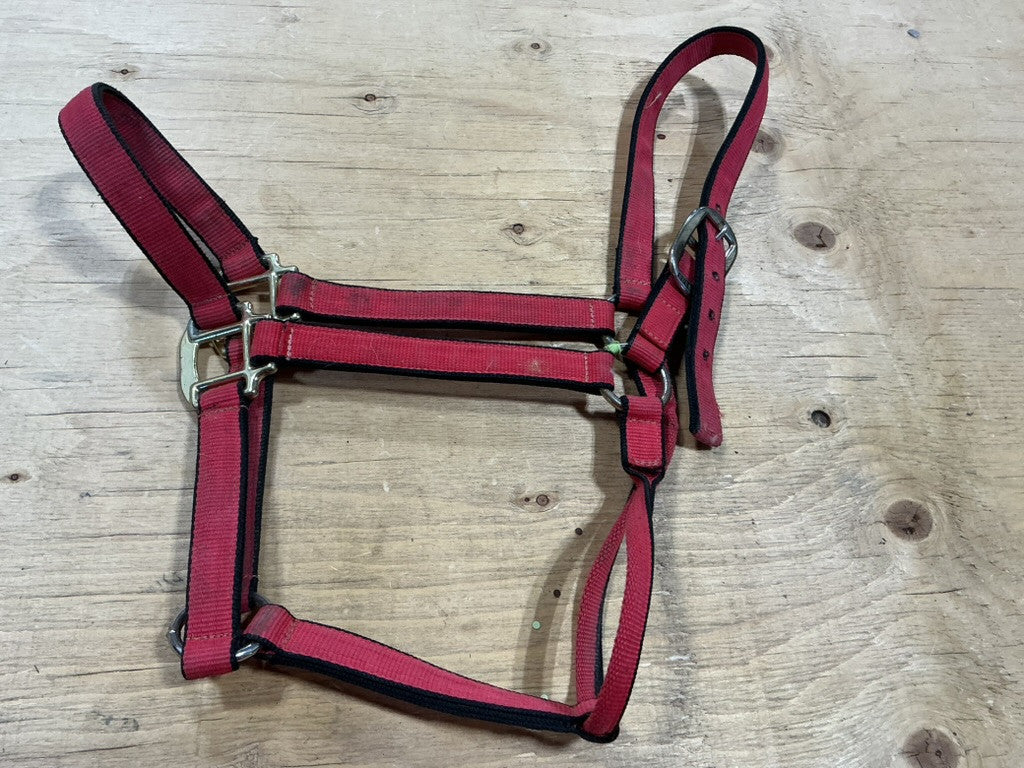 Halter Nylon Red