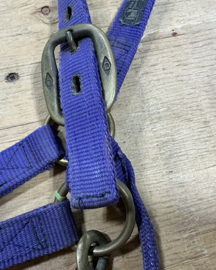 Halter nylon Purple