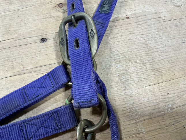 Halter nylon Purple