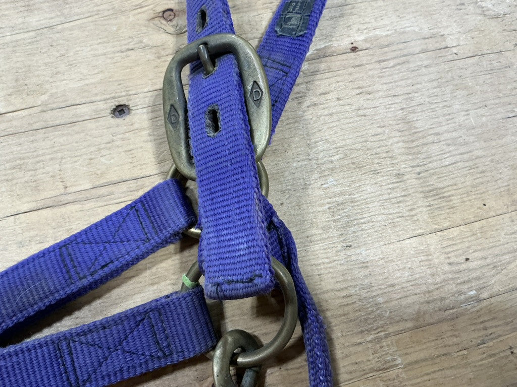 Halter nylon Purple