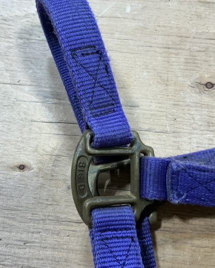 Halter nylon Purple