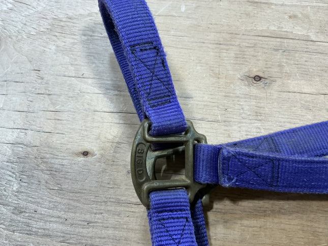 Halter nylon Purple