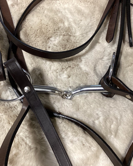 Western Bridle Reins & Bit 5.5" Draft *NEW*