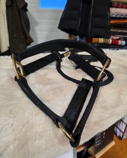 Halter Nylon Black *average Horse*