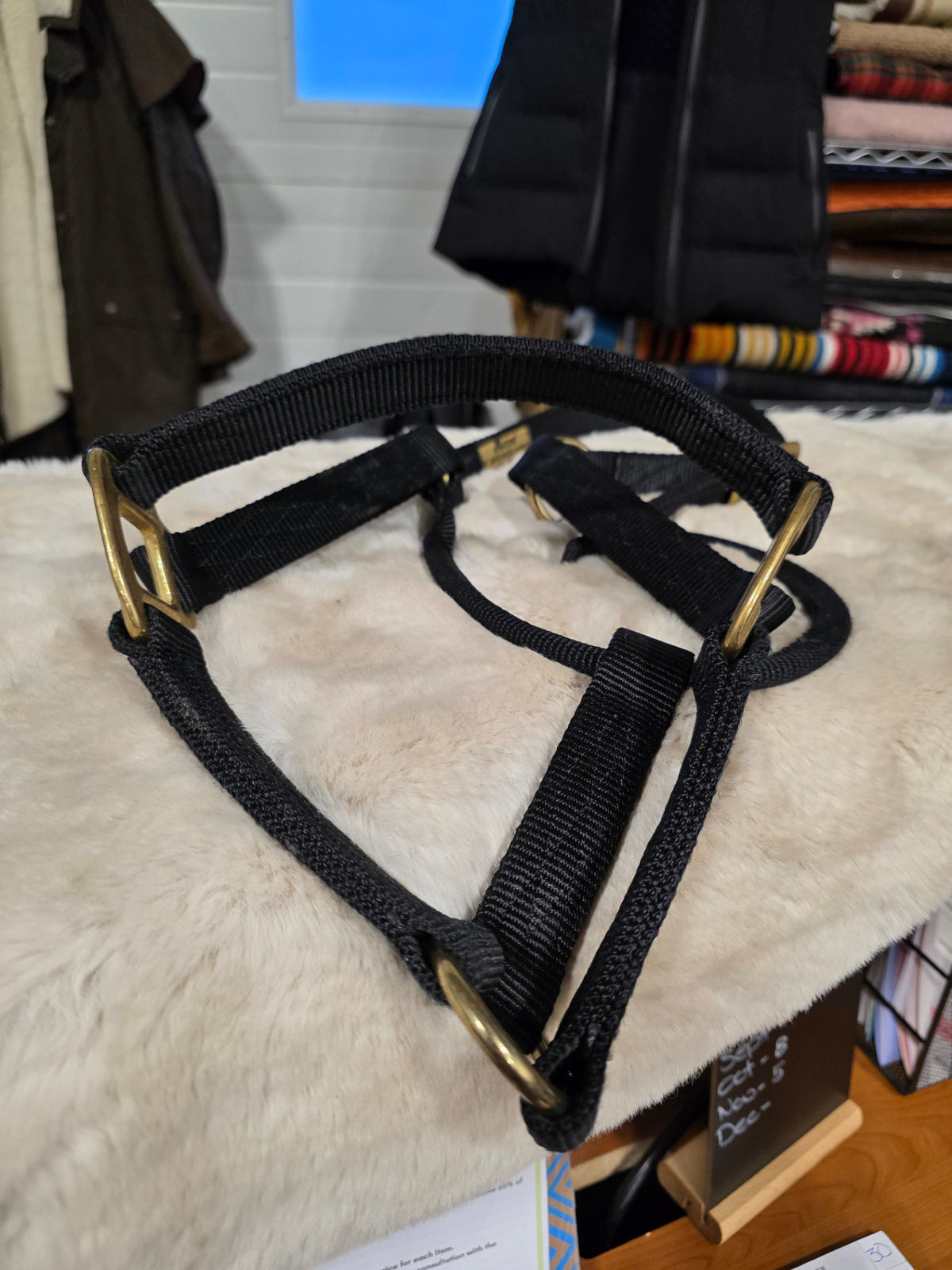 Halter Nylon Black *average Horse*