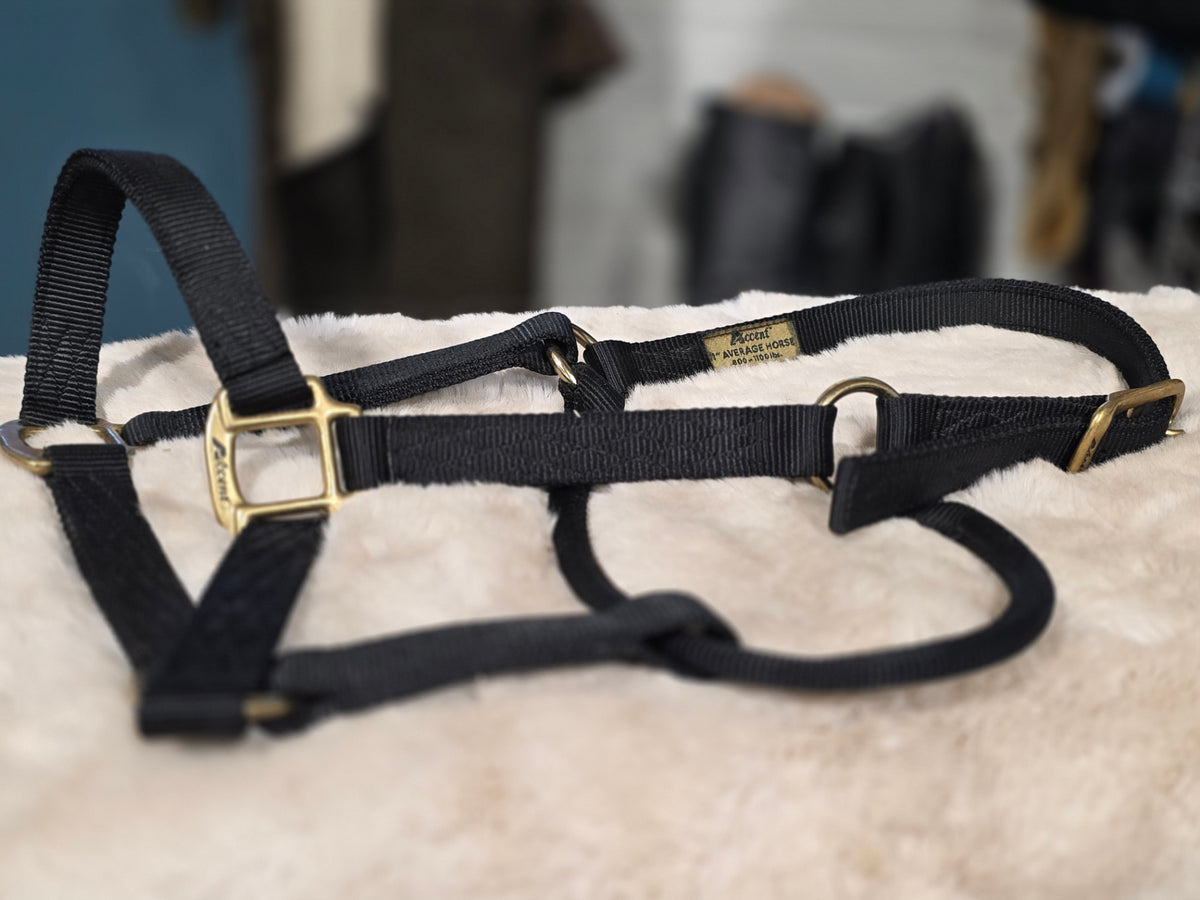 Halter Nylon Black *average Horse*