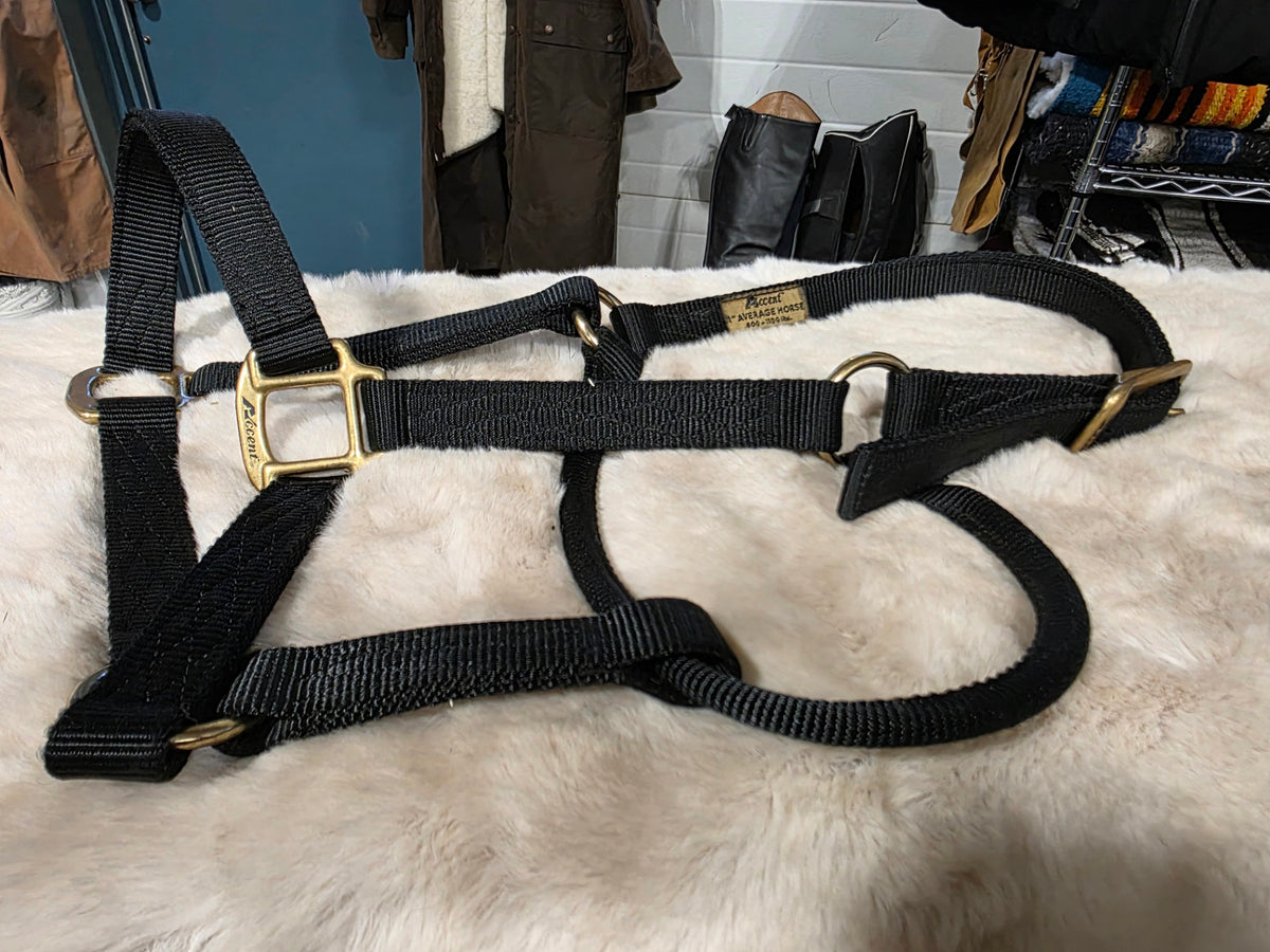 Halter Nylon Black *average Horse*
