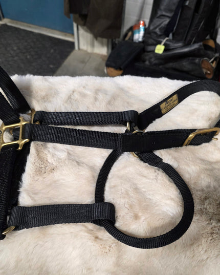 Halter Nylon Black *average Horse*