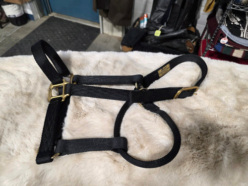 Halter – Nylon, Black, Average Horse | Used