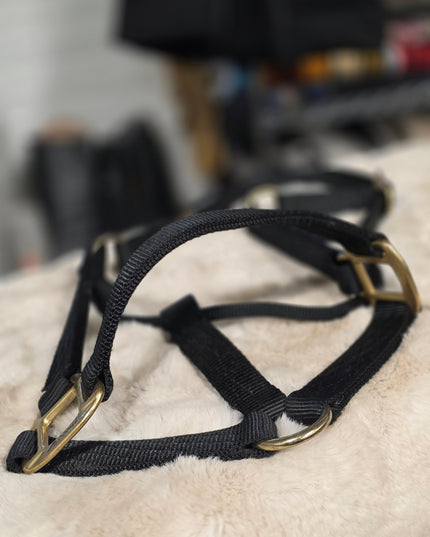 Halter Nylon Black *average Horse*