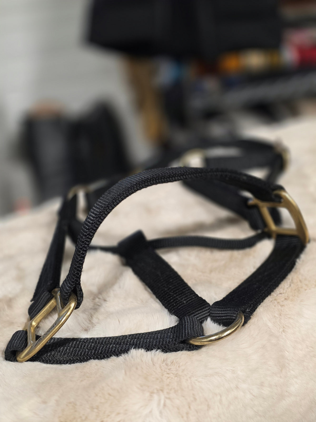 Halter Nylon Black *average Horse*