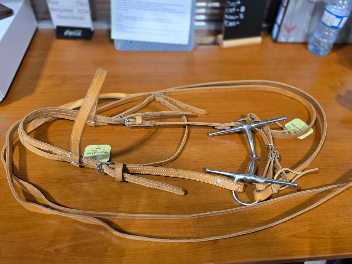 Western Headstall  Bit & Reins Light Tan