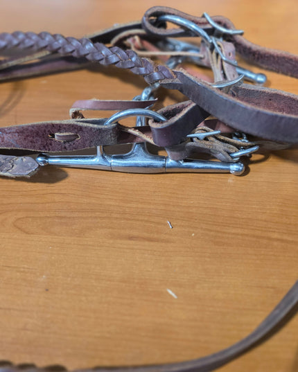 Western Headstall  Bit & Reins #3