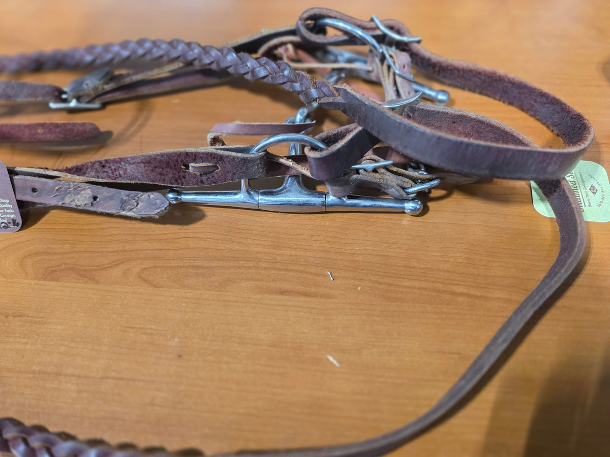 Western Headstall  Bit & Reins #3