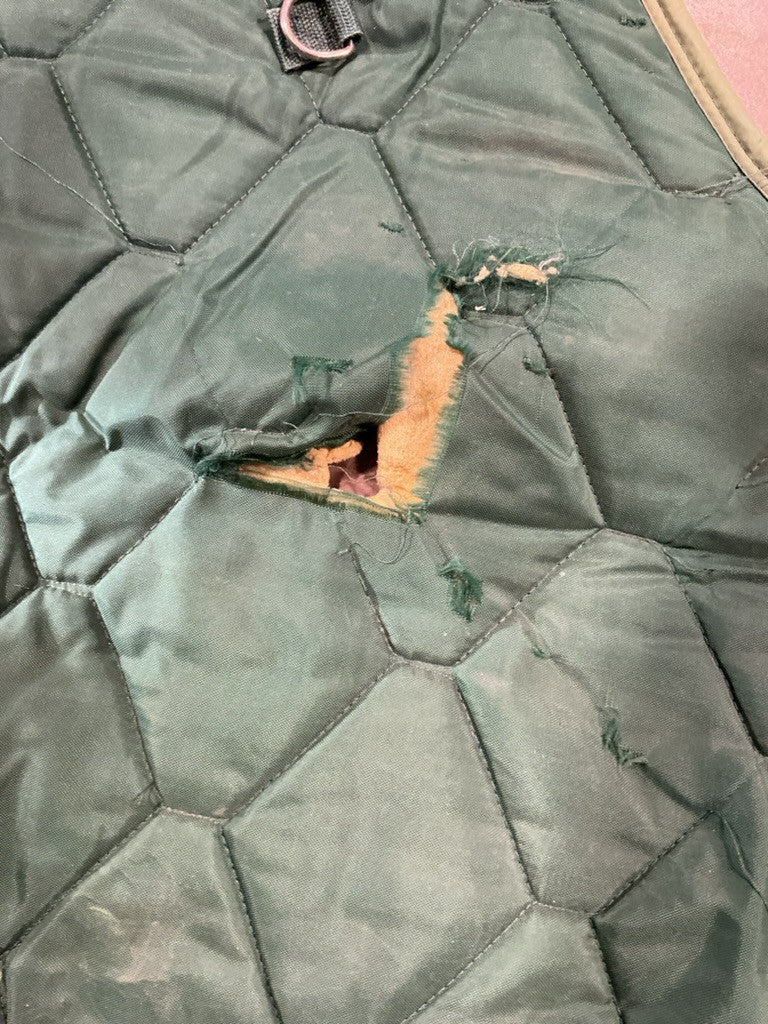 Winter Liner Coat 74" Guess 50G Green