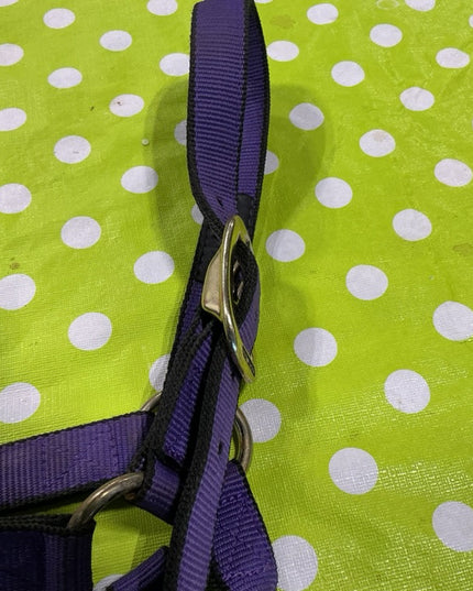 Halter nylon Purple Weaver