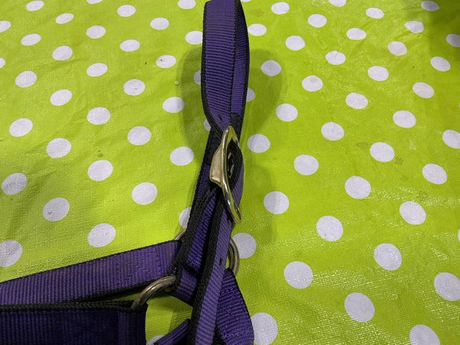 Halter nylon Purple Weaver