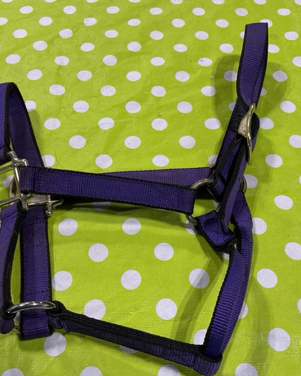 Halter Nylon Purple Weaver