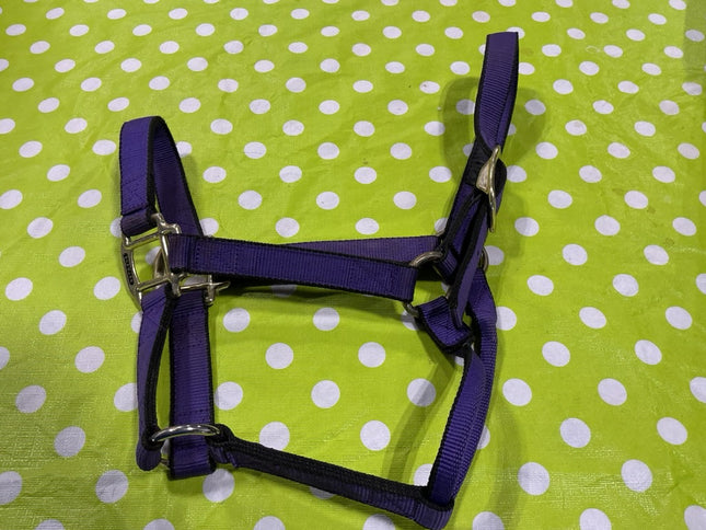 Halter nylon Purple Weaver