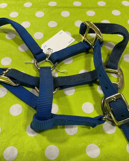 Halter Nylon Blue Suckling