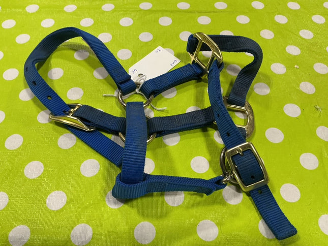 Halter Nylon Blue Suckling