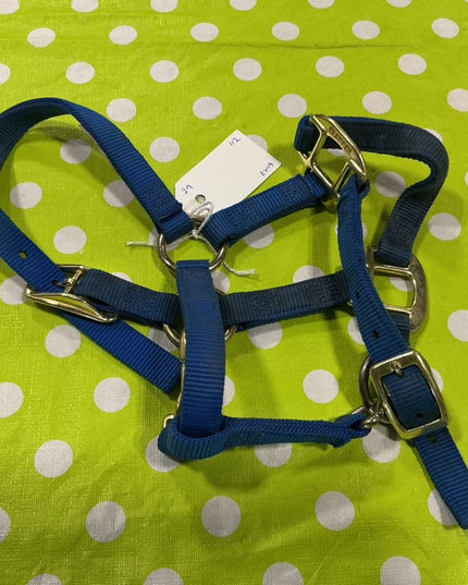 Halter Nylon Blue Suckling