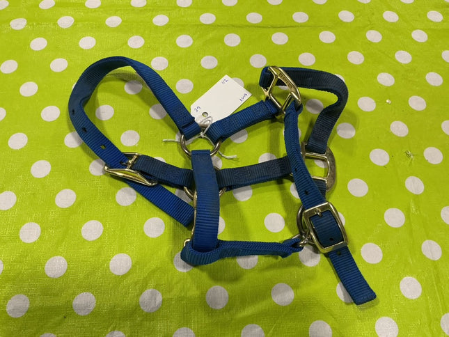 Halter Nylon Blue Suckling