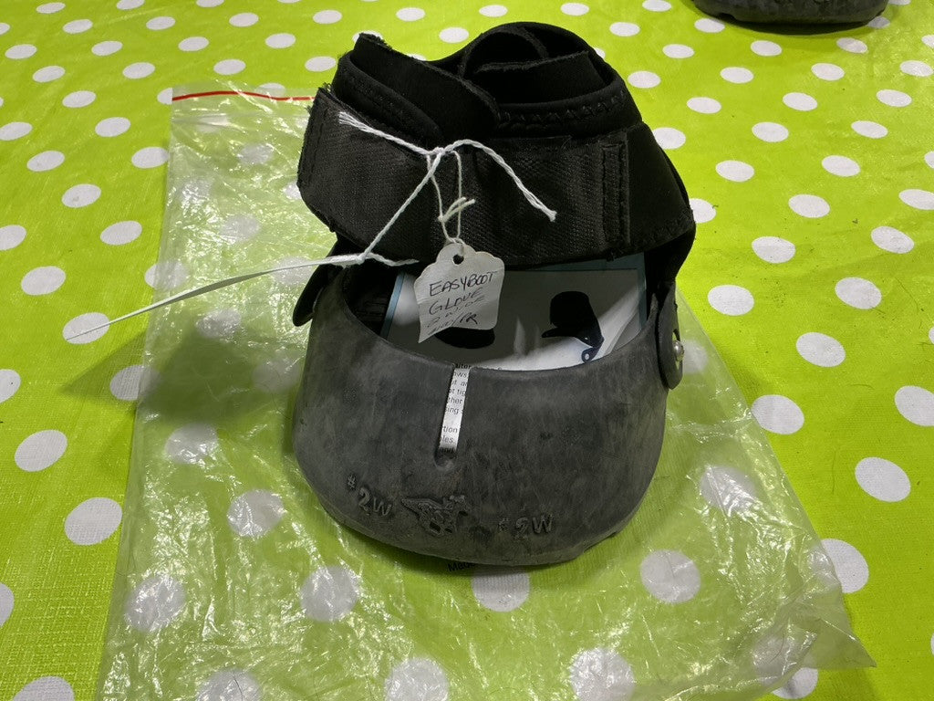 Easy Boot 2W Pair