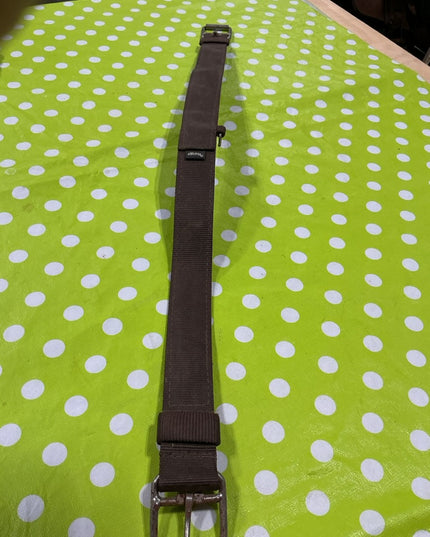 Back Flank Cinch Weaver Brown Nylon 34"