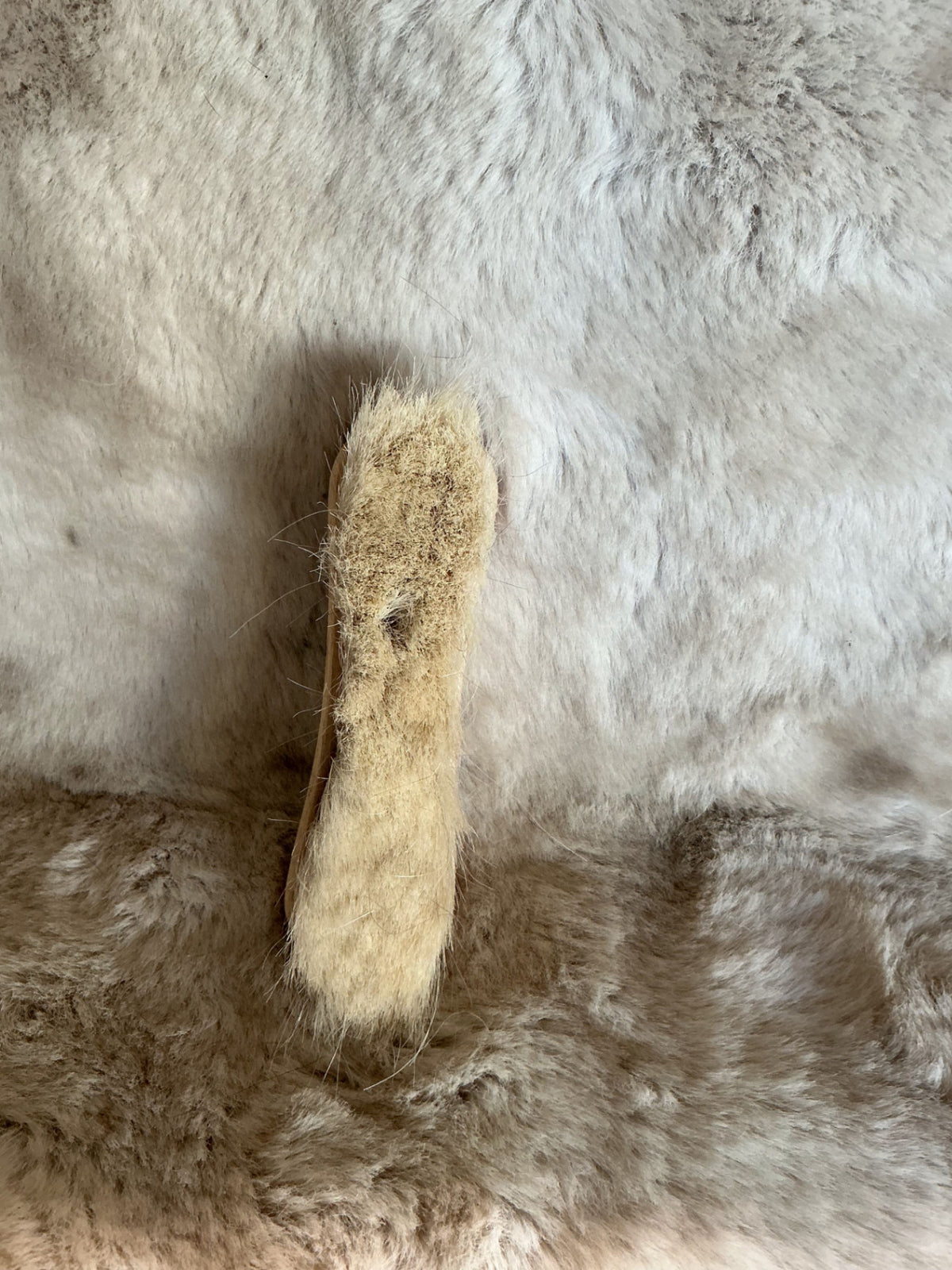 Grooming Brushes Smaller White