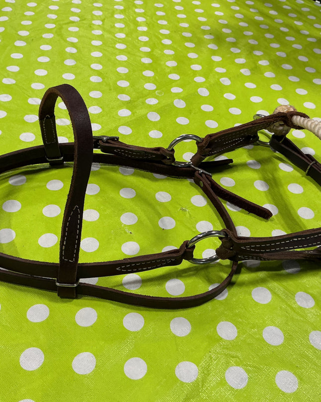 Western bitless sidepull bridle