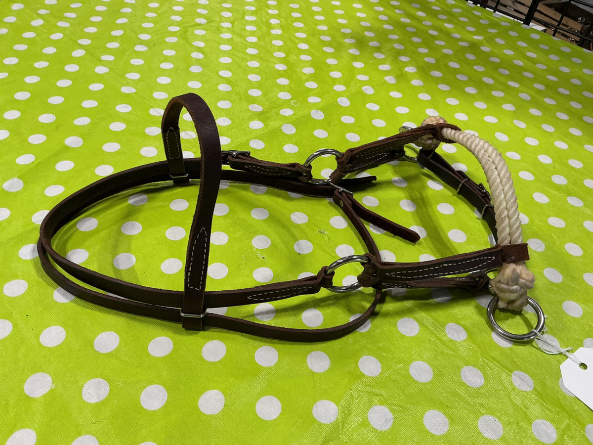 Western bitless sidepull bridle