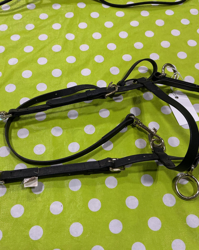 Bridle Pony/Mini