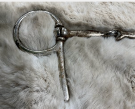 Bit – Short Shank Snaffle, 5" | Used