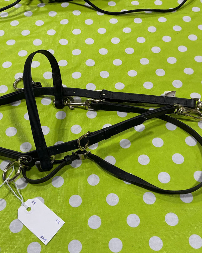 Bridle Pony/Mini